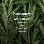 Mrs. Meyer's Rosemary Liquid Hand Soap
