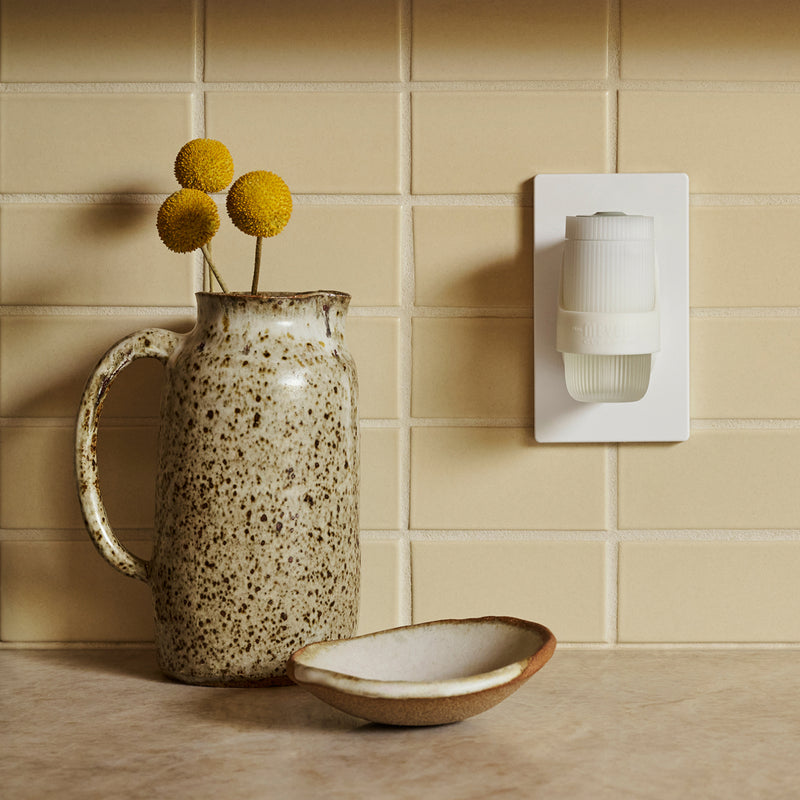 Acorn Spice Plug In Scented Oil Warmer With Refill