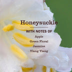 Mrs. Meyer's Honeysuckle Multi-Surface Concentrate