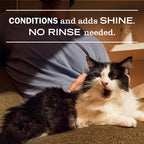 Cat Care Set