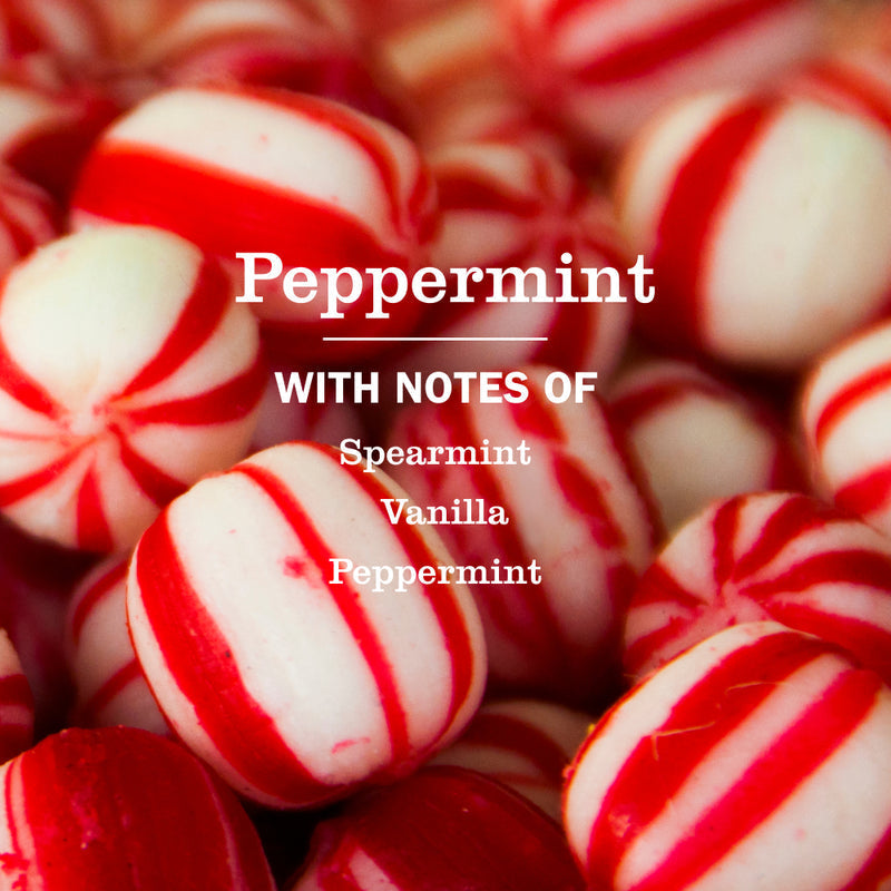 Mrs. Meyer's Peppermint Liquid Hand Soap