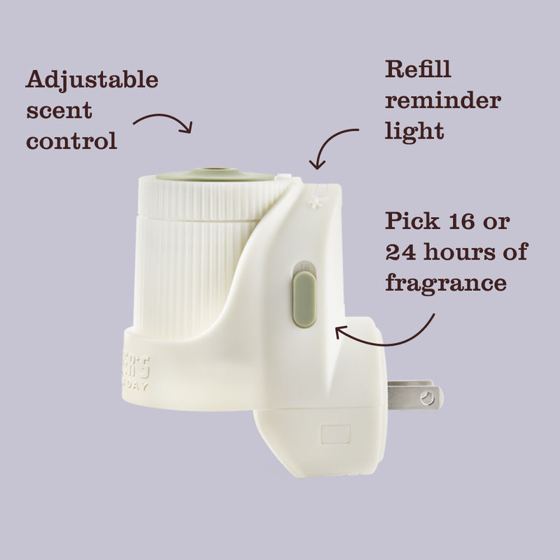 Dandelion Plug In Scented Oil Refill 2-Pack