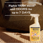 Orange Blossom Pet Stain &amp; Odor Fighter